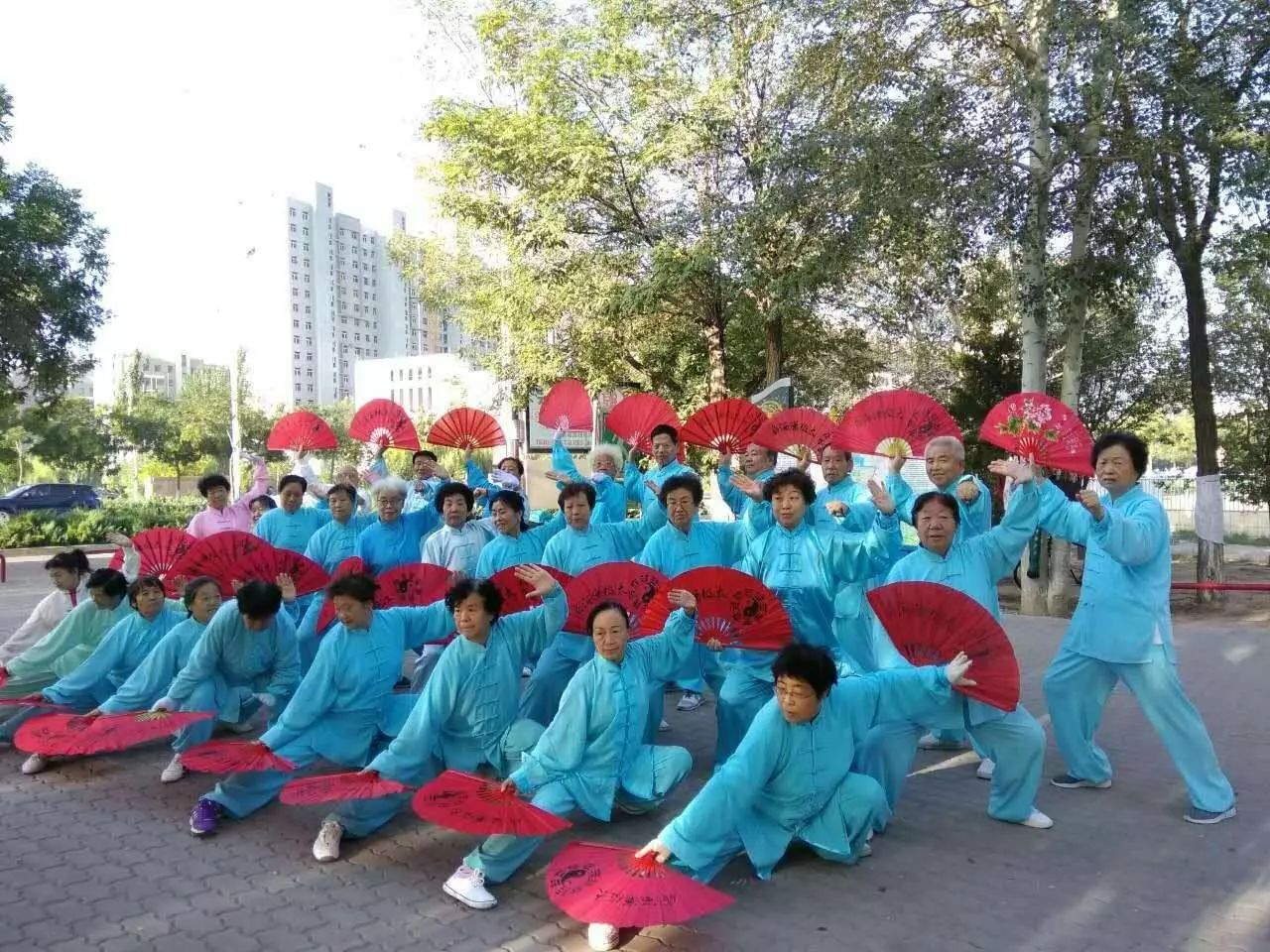 舞動寧夏——水洞溝廣場舞風采秀1日游